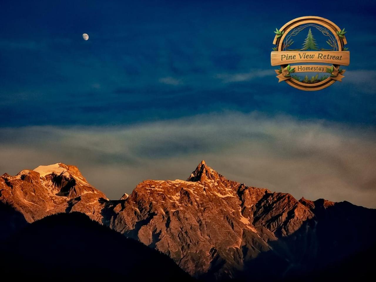 Pine View Retreat Homestay كالبا المظهر الخارجي الصورة